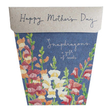 Load image into Gallery viewer, Snapdragons for Mother’s Day