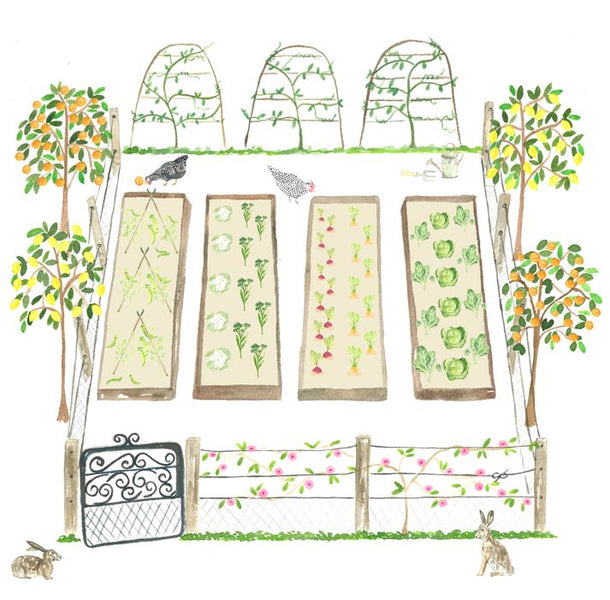 In The Garden | Winter Veggie Patch