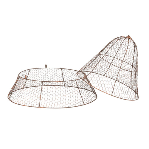 Cloche | two piece dome