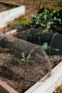 Wire cloche extension