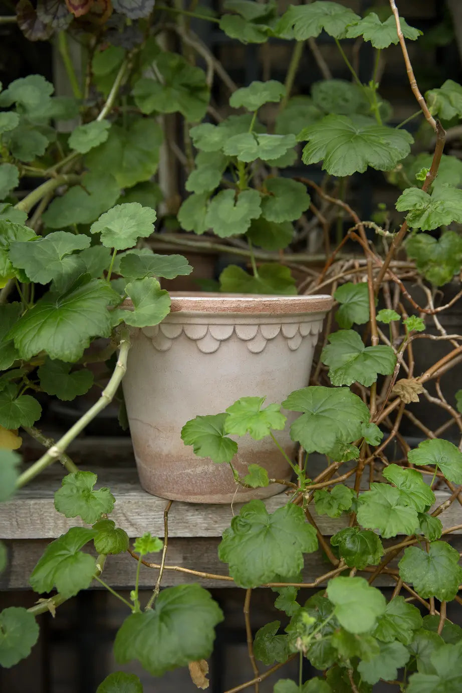 Bergs Potter | Copenhagen 'Castle’ Pot & Saucer