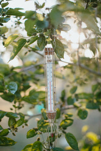 Cage Thermometer