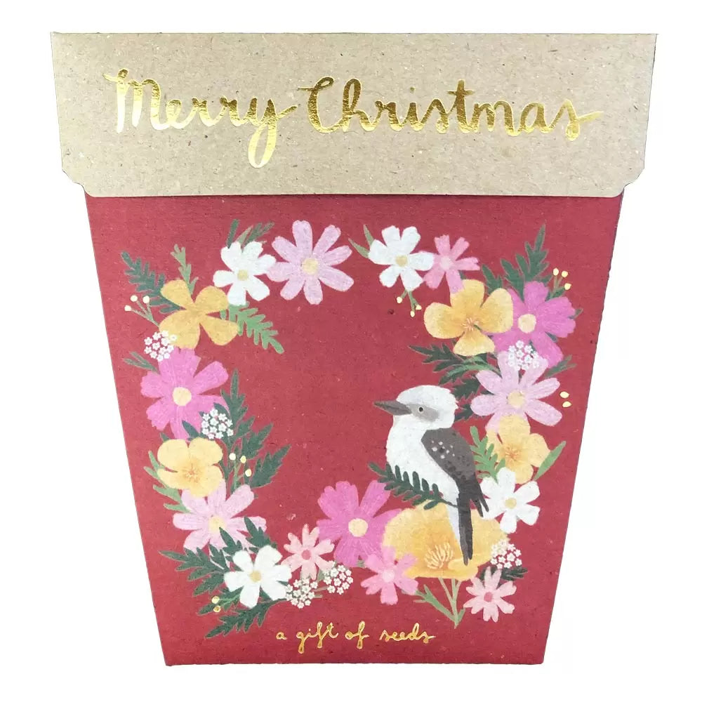 Christmas Wildflower Gift of Seeds