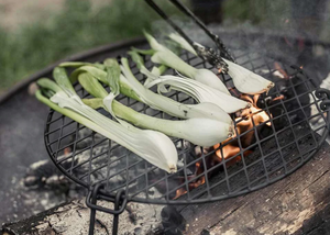 Fire Pit Grill Grate
