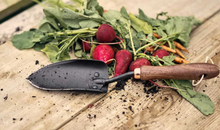 Load image into Gallery viewer, Garden Trowel | Walnut