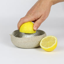 Load image into Gallery viewer, Juicer