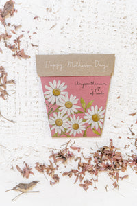 Chrysanthemums | Mother’s Day Gift of Seeds