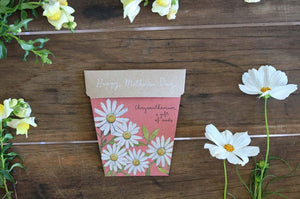 Chrysanthemums | Mother’s Day Gift of Seeds