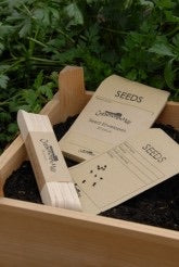 Seed Envelopes