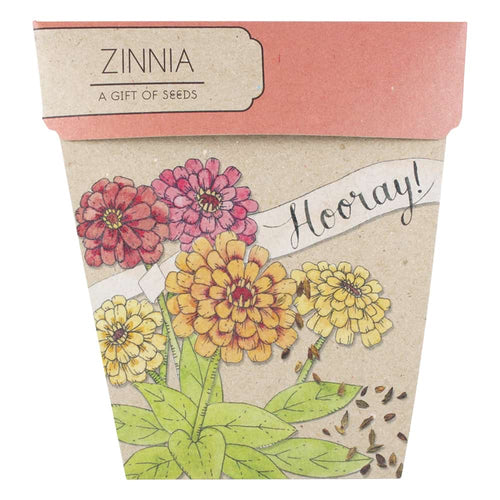 Zinnias Gift of Seeds