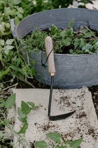 Japanese Weeding Hoe
