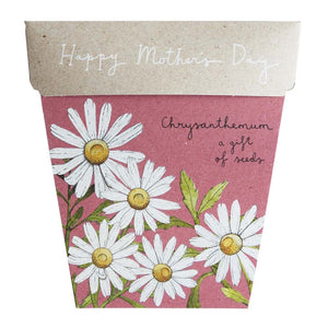 Chrysanthemums | Mother’s Day Gift of Seeds