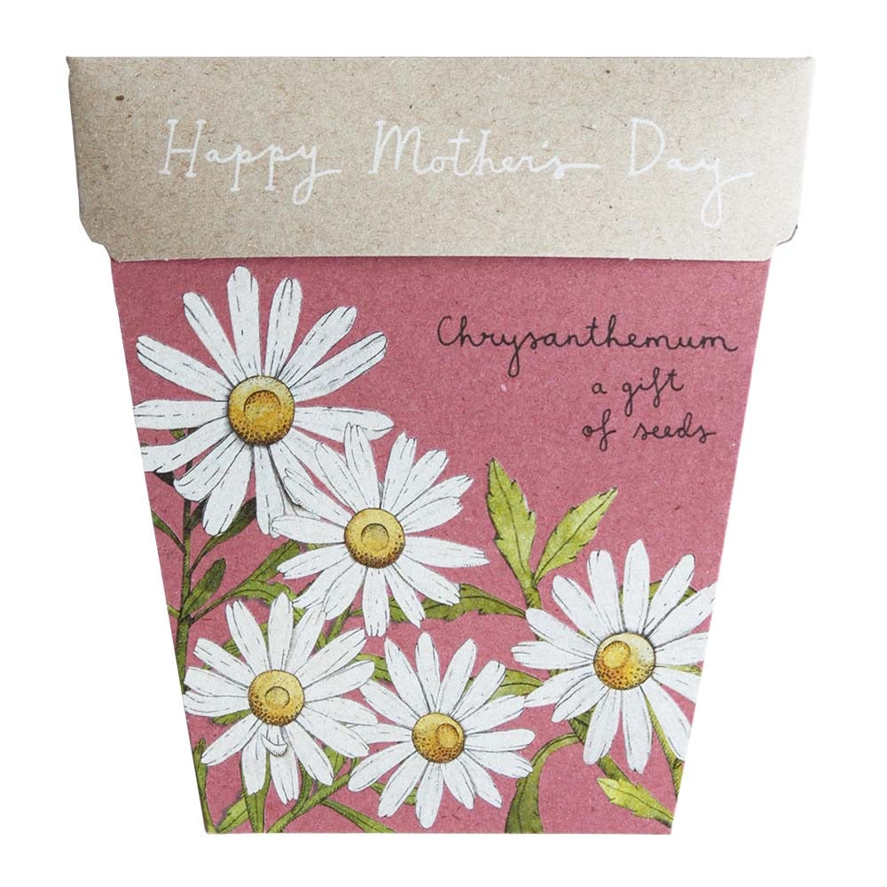 Chrysanthemums | Mother’s Day Gift of Seeds