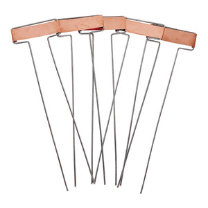 Copper plant labels