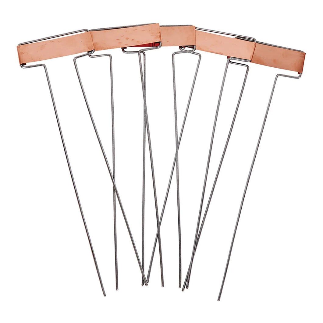 Copper plant labels