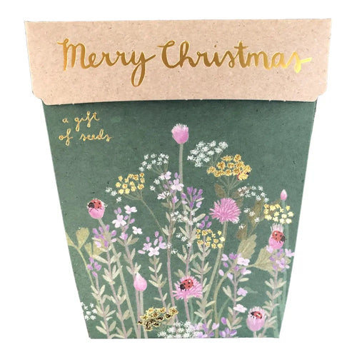 Christmas Herbs Gift of Seeds