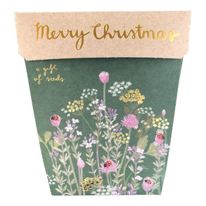 Christmas Herbs Gift of Seeds