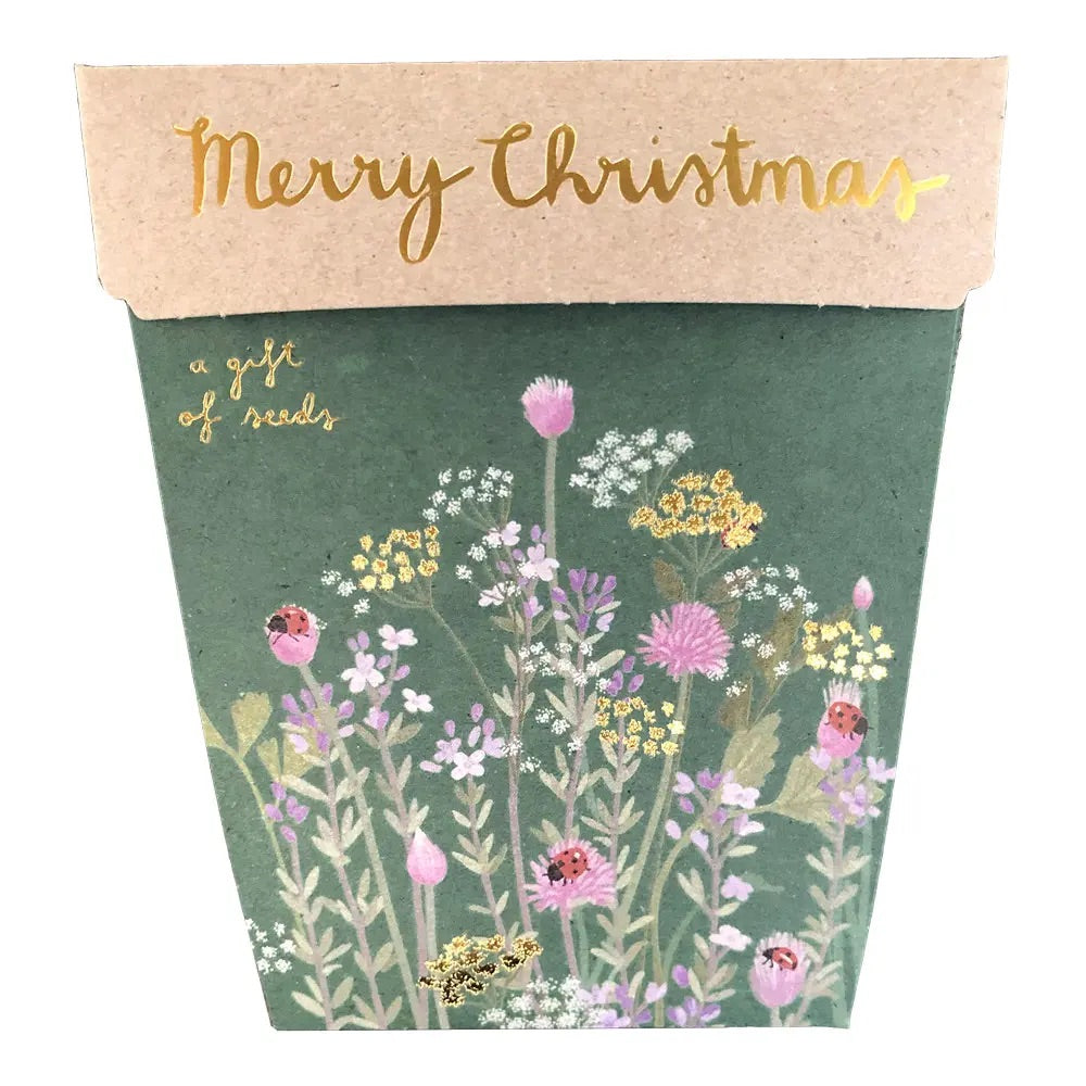 Christmas Herbs Gift of Seeds