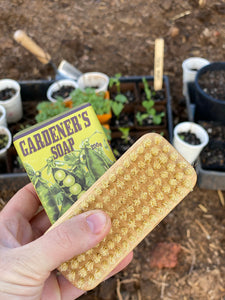 Gardener’s Nail Brush