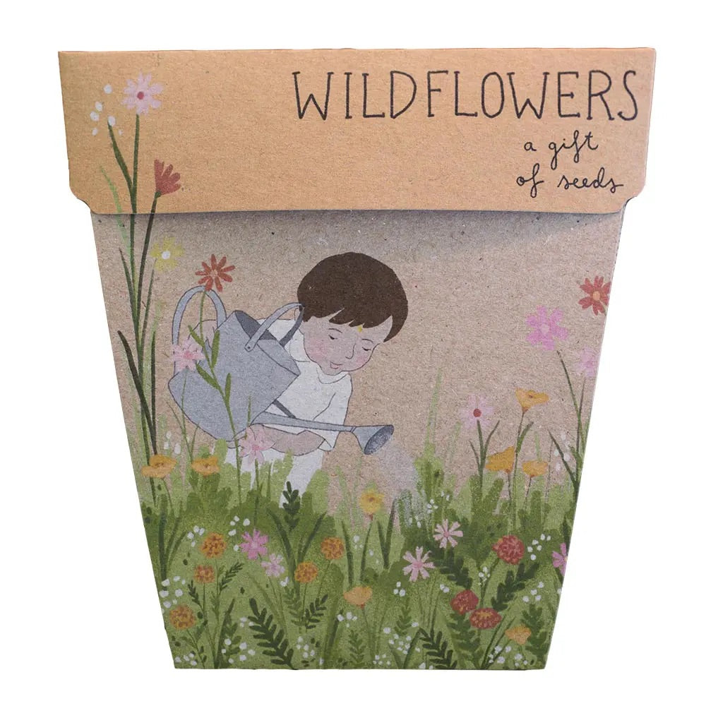 Wildflower Gift of Seeds