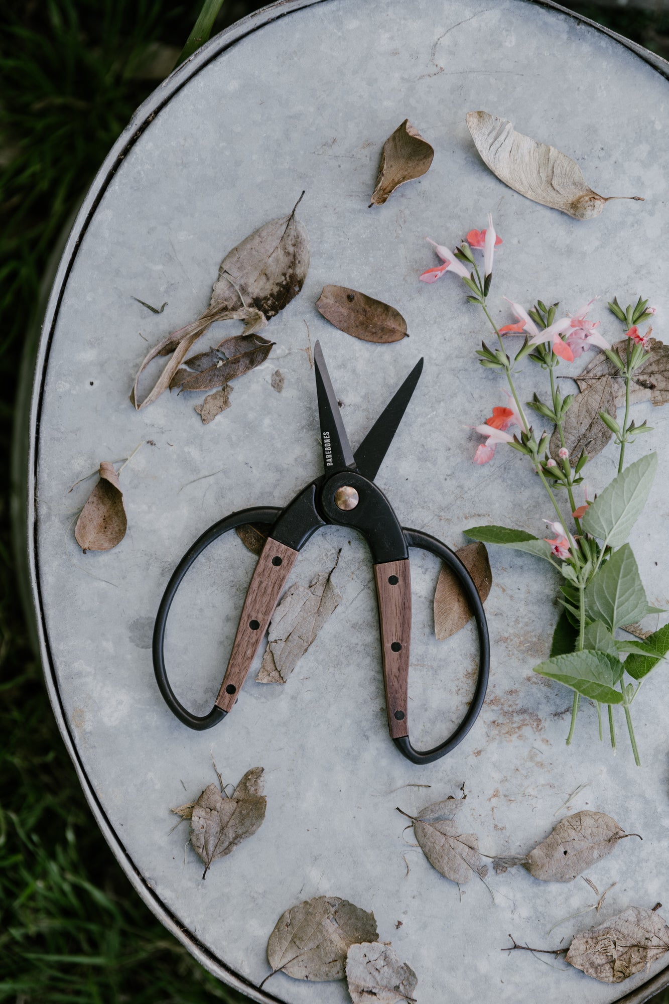 walnut garden scissors Walnut Scissors