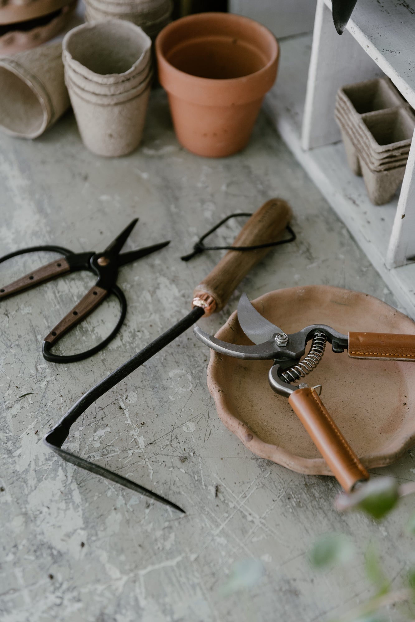 walnut garden scissors Walnut Scissors