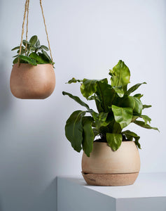 Self-Watering Planter