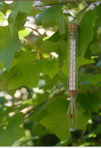 Cage Thermometer